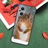 Cartoon Animal Squirrel Case For OPPO Reno 14F 13F 12F 11F 12 13 14 10 Pro 7 8 Lite OPPO Find X5 X6 X8 X9 Pro Cover