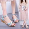 Women's Trendy 2025 Summer Platform Sandals - New European & American Style with Thick Soles