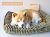 Ninian and Kino Perfect Pet Shiba Inu Plush Stuffed Perfect Cute Dog Stuffed Animal (Large) Toy, Realistic, Lifelike, Animal-Like Animal, Soothing,