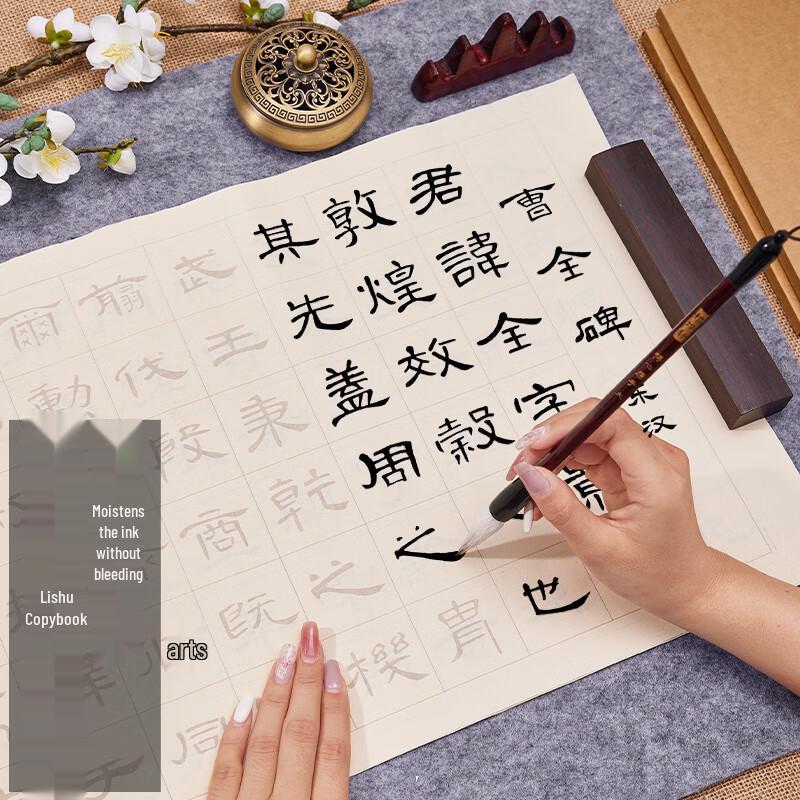 Tanye Xuan Lishu Calligraphy Practice Set Lishu Medium Regular Script