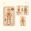 Organ Model Montessori Jigsaw Puzzle Human Structure Human Structure Toy  Science Learning