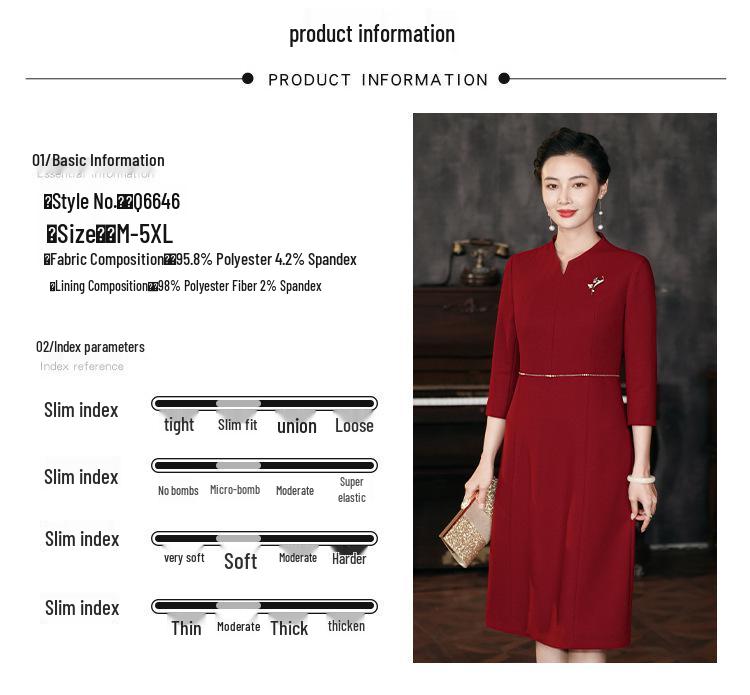 2024 Elegant Wine Red Plus Size Mother of the Bride Dress