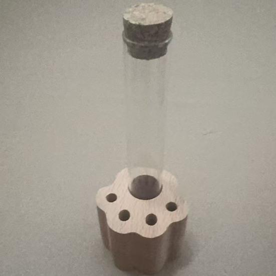 Gedenkflasche für Tierhaare Transparente Röhre und Holzsockel mit Katzenpfote Erinnerungsflasche zum Sammeln und zur Aufbewahrung von Haustiererinnerungen