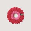 BLUMBERG (PINK/RED)