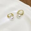 Women's High-End Plain Hoop Earrings: Light Luxury Ear Drops & Studs, Niche Design for Autumn/Winter.