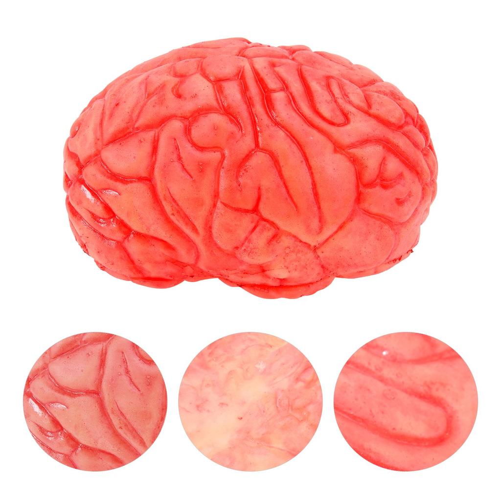 1Pc Halloween Prop Bloody Scary Fake Organ Human Realistic-looking Brain Body Parts for Halloween Party Accessories Dark Red