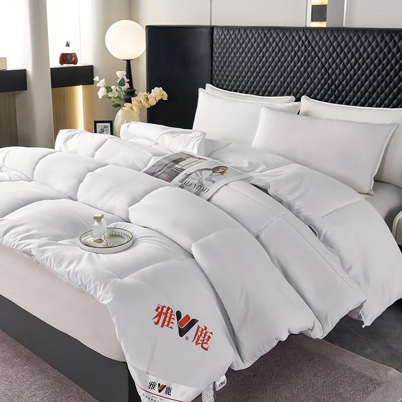 Yalu Cloud-Soft Winter Quilt 6 Jin Winter