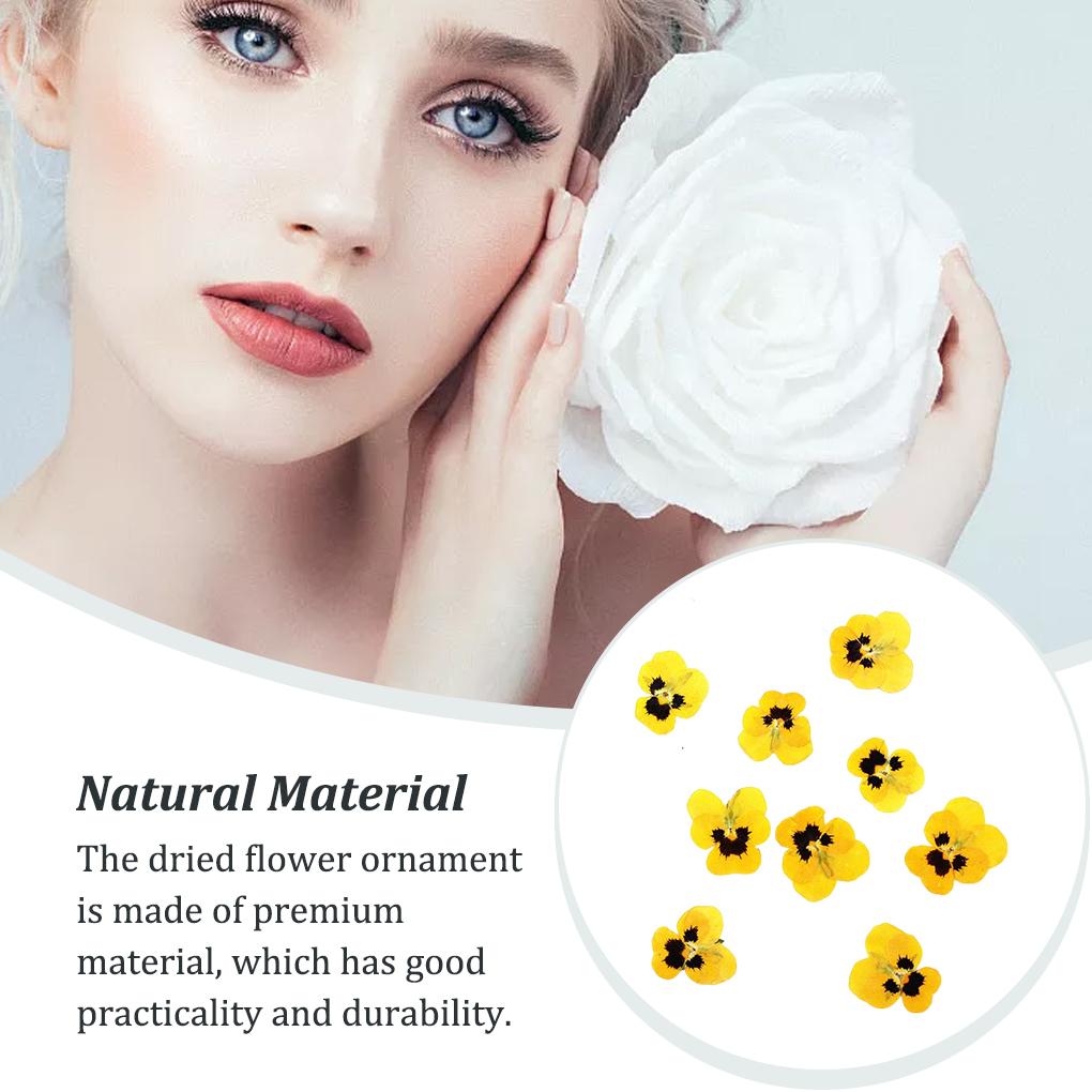 12 Piezas Manualidades Estilo Simple Hacer Accesorios Maquillaje Adorno Flor Prensada Manualidad Joyería Decoración Accesorio