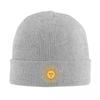 Sun Of May Flag Of Argentina Warm Knitted Cap Fashion Bonnet Hat Autumn Winter Outdoor Beanies Hats for Unisex Adult