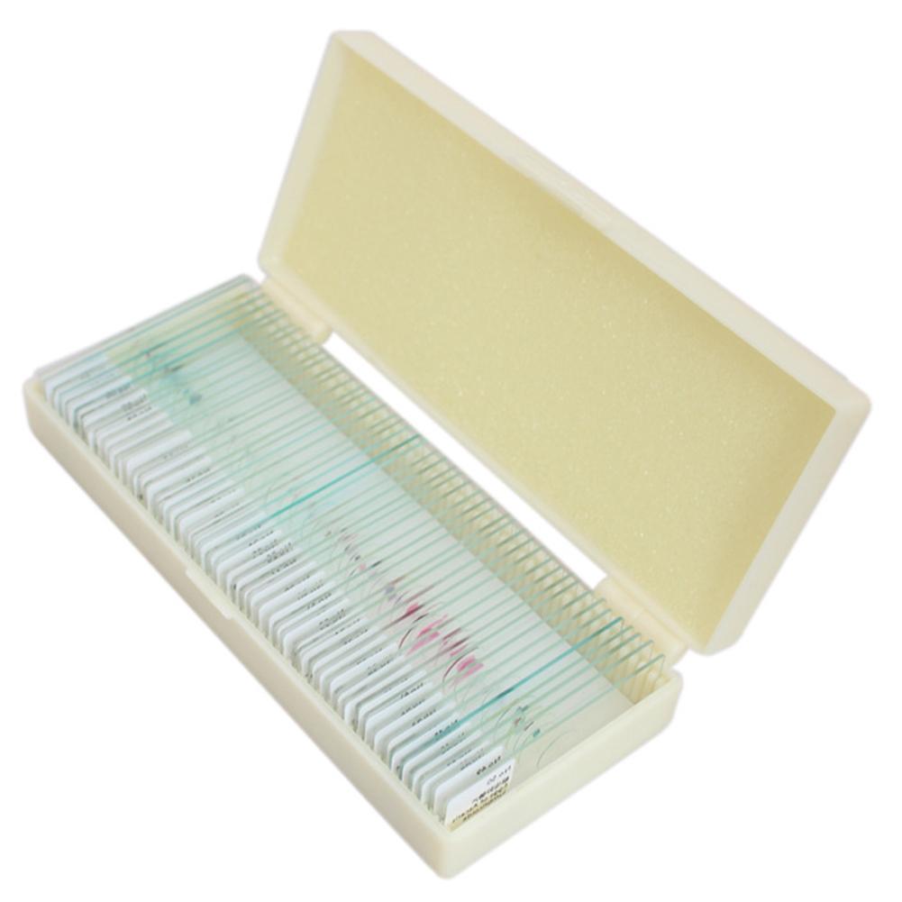 Microscope Specimen Slides for Kids with Educational Biology Focus