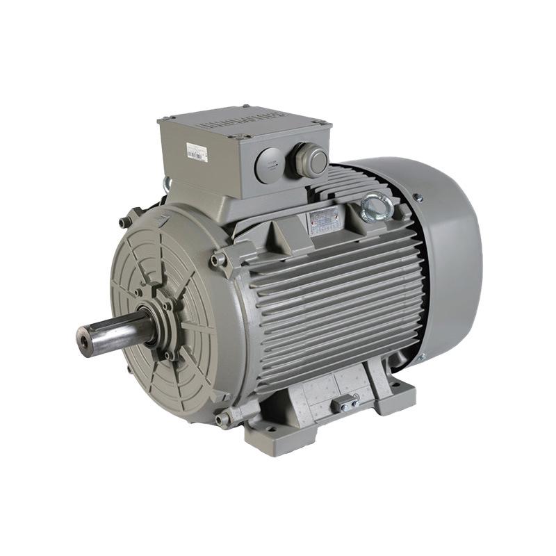 INNOMOTICS 1LE8 IE5 Low Voltage AC Motor