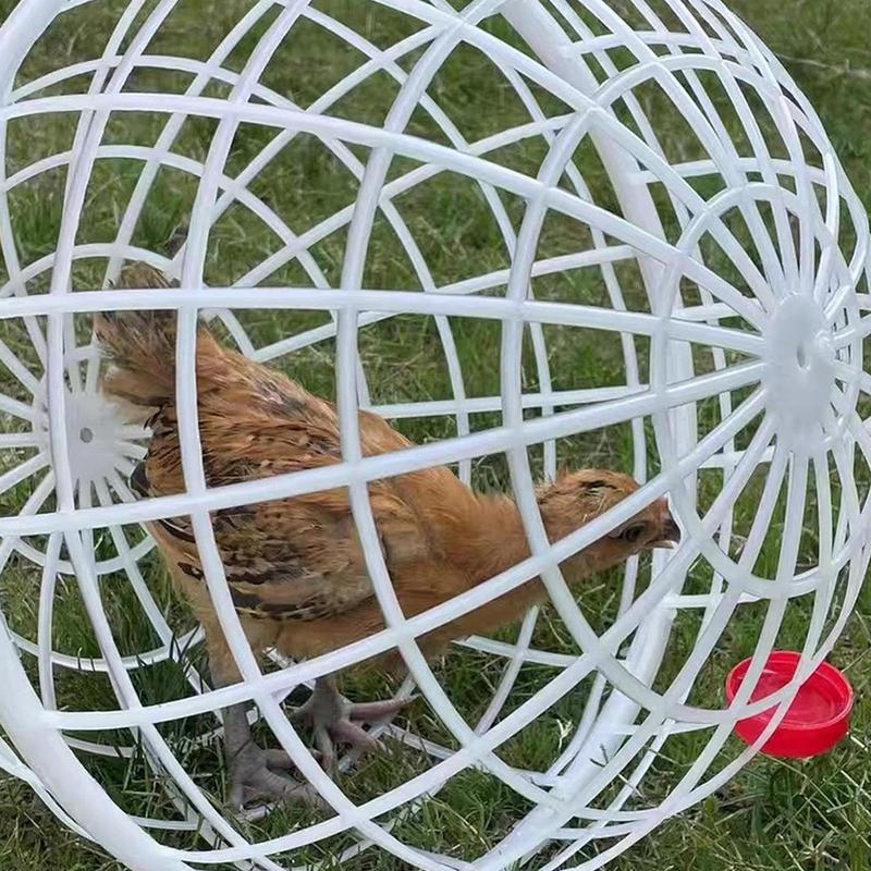 Krmící koule pro kuřata Volně chovaná drůbež Pojízdný kurník Kulatá klec pro králíky Bezpečný krmící ohrádka pro kuřata Pro králíky kachny