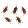Simulation Poop Fly Cockroach Funny Joke Tricky Decompression Toy Kids Adult Gift