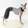 XS-2XL Greyhound Warm Full Cover 4 Legged Thing Dog Clothes Indoor Fleece Pajamas Sweatshirts Whibbit Bodysuit Hoodies