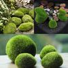 Marimo Moss Balls Konstgräs Sten Torv Mini Fairy Garden Micro Terrarium