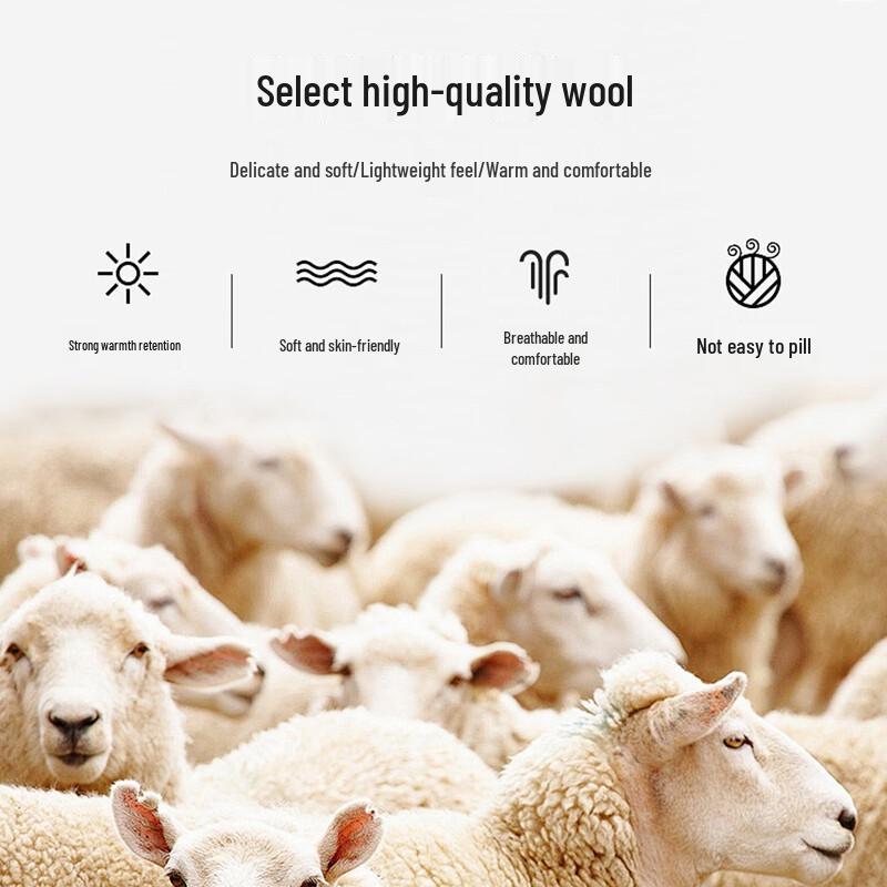 Caizi Men's 100% Wool Pullover Sweater