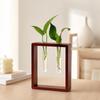 Minimalist Glass Tube Vase Home Decoration Hydroponic Flowerpot Water Plant Tube Stand  Living Room