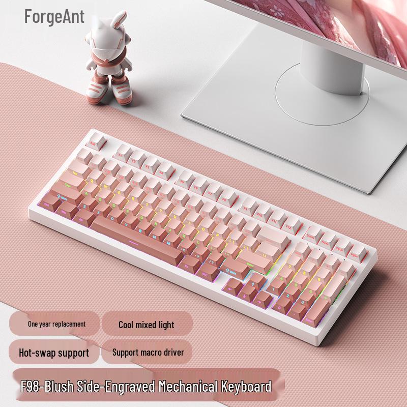RuiYi F98 Wired 98-Key Mechanical Keyboard, Hot-Swappable, Side-Printed, Full-Key Anti-Ghosting, Office/Gaming.