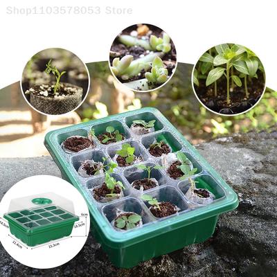 6/12 Holes Seed Starter Tray With Ventilation Holes, Mini Dome Greenhouse Germination Propagation Tray For Succulent Plant