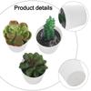 3pcs Artificial Succulent Bonsai Plants Charming Desktop Simulation Succulent Plant Set Home Desk Office Wedding Table Decor