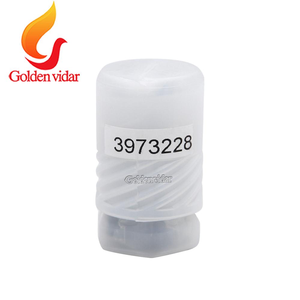Plunger Matching Part 4088593, Fuel Pump Plunger Assembly,with Ceramic Core, For Cummins Pump 3973228/5594776,for CCR1600 Engine