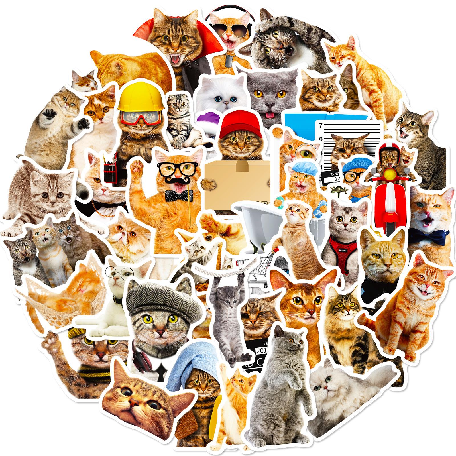

50 Realistic Cat Stickers, Fun Diy Children S Stickers, Concentration, Small Animals, Cute Cats