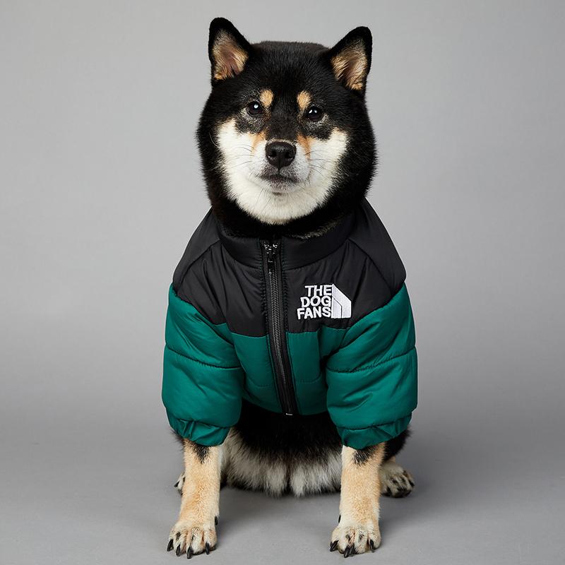 dog down jacket