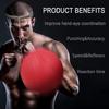 Kick Boxing Reflex Ball with Head Band Fighting Speed Training Punch Ball Muay MMA Exercise Kid Adults Home Equipment