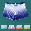Lightweight Underwear Sexy Sheer Soft Boxer Briefs