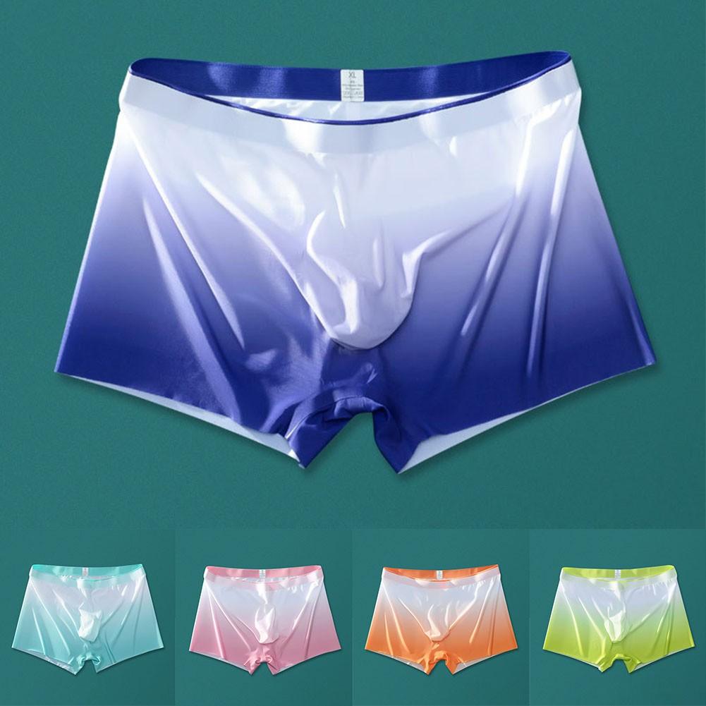 Lightweight Underwear Sexy Sheer Soft Boxer Briefs