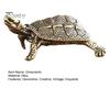 Unique Office Desk Accessories Vintage Metal Turtle Statues, Gold Figurines, Decorative Animal Elegant Brass Statue Ornament, Small Desktop Decoration