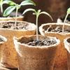 Biodegradable Seedlings Pots Garden Plant Nursery Pot with Drainage Holes Flower Vegetable Seed Starting Trays Gardening Tool