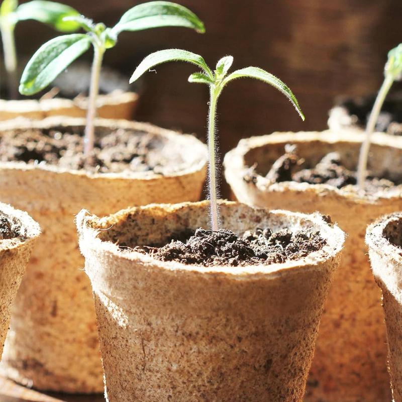 Biodegradable Seedlings Pots Garden Plant Nursery Pot with Drainage Holes Flower Vegetable Seed Starting Trays Gardening Tool