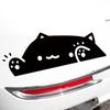 Cat Car Sticker Kitten Knocking On Window Cute Personality for Car Body Bumper Windows Motorcycle Laptop Wall Auto Accessories