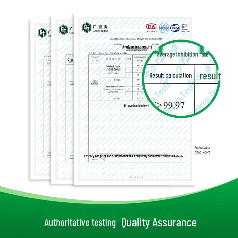 Dettol Pine Fresh Soap Bars