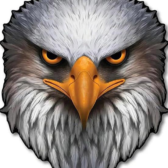 Reflecterende Adelaarsogen USA Vlag Sticker Patriotische Auto Sticker met 3D Effect Hoge Zichtbaarheid Dag & Nacht Weerbestendig Vinyl voor Auto Vrachtwagen SUV
