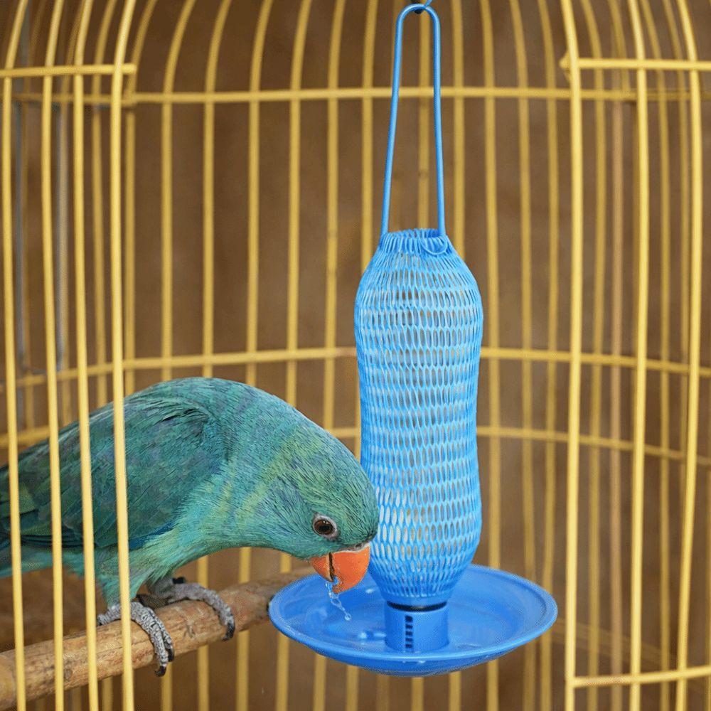 Automatic Bird Water Feeder Plastic Eco-Friendly Hanging Hummingbird Feeder Detachable Wild Birds Drinker Project