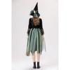 Cosplay Halloween Costume Adult Green Mesh Witch Dress, Camellia Spider Web Witch, Holiday Dress Stage Dress