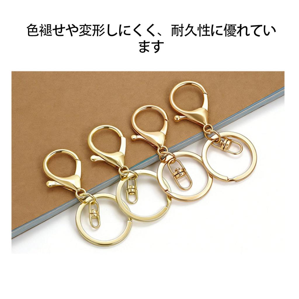 Keyring Simple Easy to Attach and Suitable for Everyday Birthday 12 Pieces [FsGrg] Carabiner, Design, Fashionable, Remove, Use, Gift, etc., Unisex,