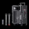 Newmine A8 Portable Trolley Speaker with Dual Mics CN Plug (adapter Included)