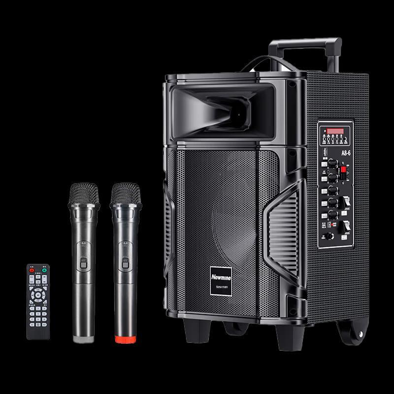 Newmine A8 Portable Trolley Speaker with Dual Mics CN Plug (adapter Included)