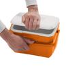 Coleman Take 6 Cooler Box Ideal for sports cherry blossom club packed and outdoor Features strong durable and excellent heat (Orange) fishing, days,