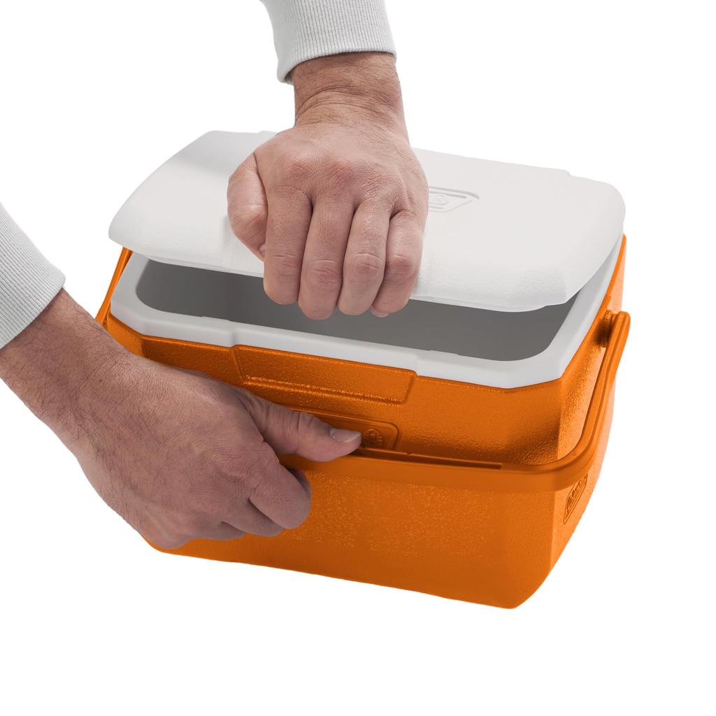Coleman Take 6 Cooler Box Ideal for sports cherry blossom club packed and outdoor Features strong durable and excellent heat (Orange) fishing, days,