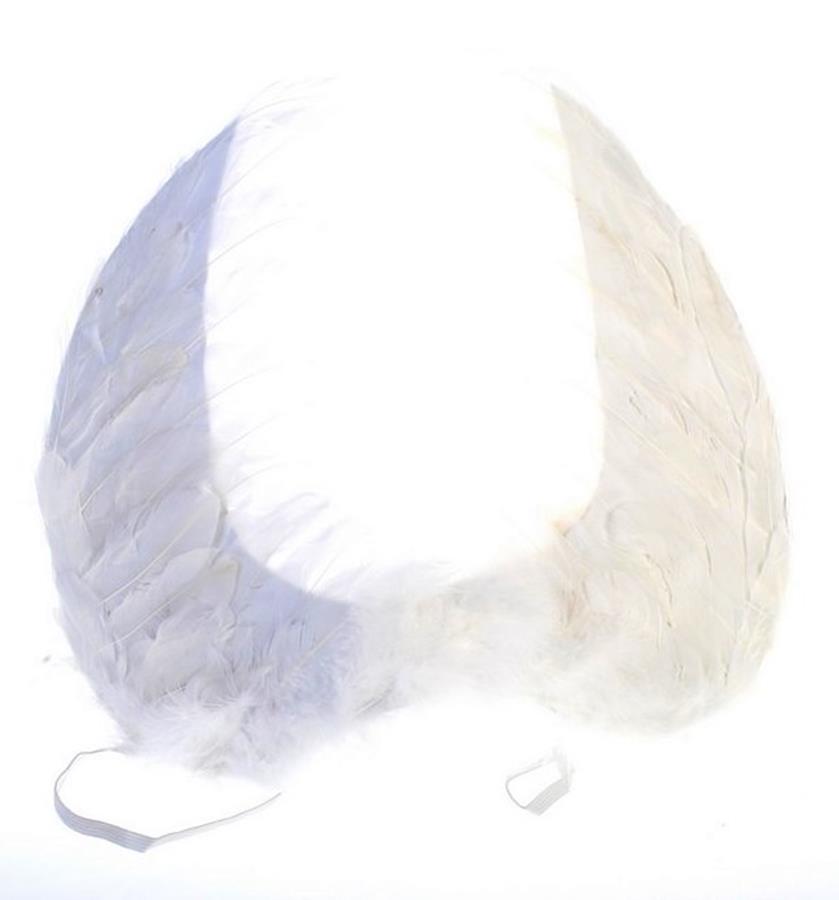 Cherubina SK5619 Elegant wings that will add shine to any