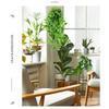 6PCS Synthetic Hanging Foliages with Sun Resistant Durable Construction Perfect for Household Yard Decorations