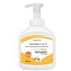 Alcohol-Free Hand Sanitizer Gel