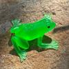 Schwimmendes Wassertier-Spielzeug Quetschfrosch-Spielzeug Frosch-Modellspielzeug Scherz-Simulations-Froschmodell Quetschfrosch