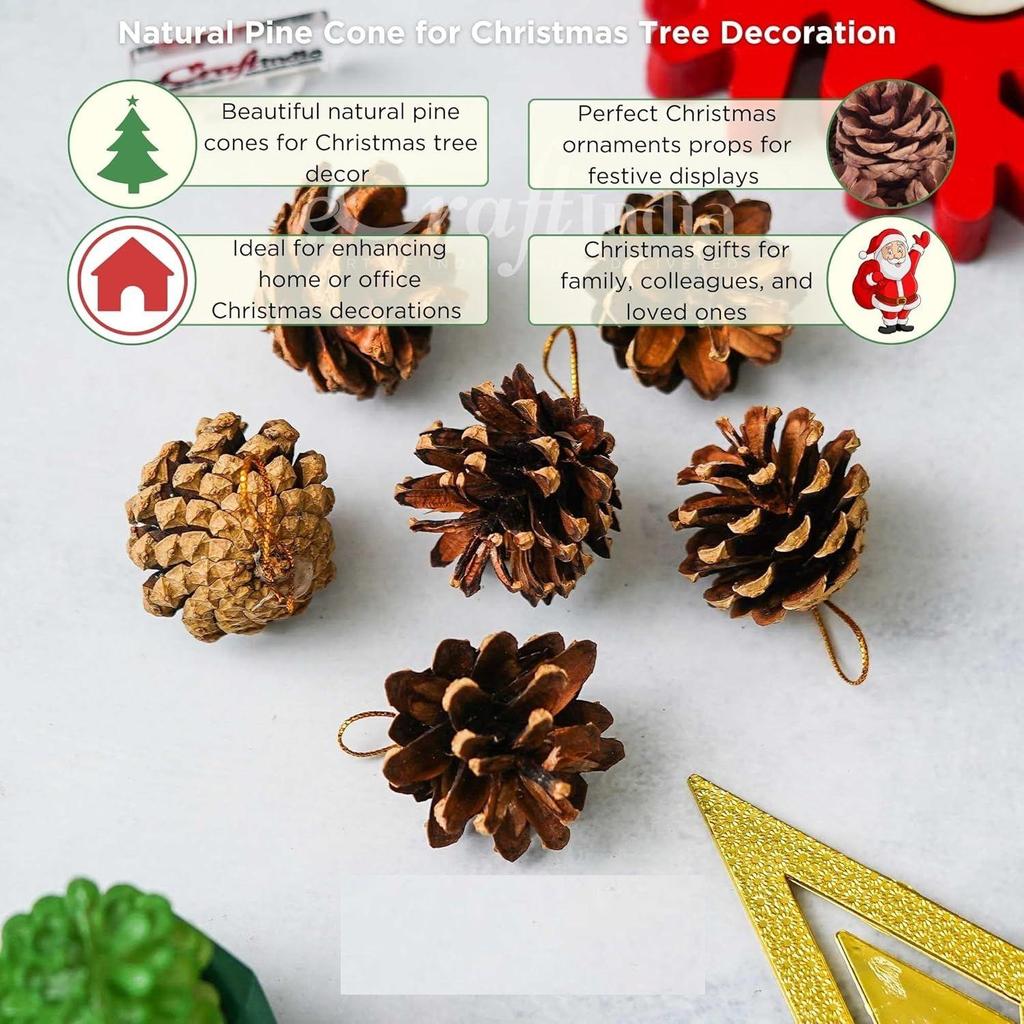 Natural Pine Cone for Christmas Tree Decoration (Pack of 6) | Christmas Ornaments Props