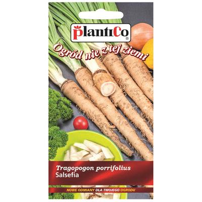 Salsify Mammouth Vegetable Seeds for the Garden 2g
