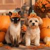 Crochet Pumpkin Dog Hat Knitted Halloween Pet Hat, Handmade Cute Cat Ghost Small with Ear Holes for Cats And Dogs Holiday Photo Prop